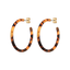 Tortoise Hoops