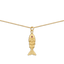 Gold Fish Box Chain Necklace